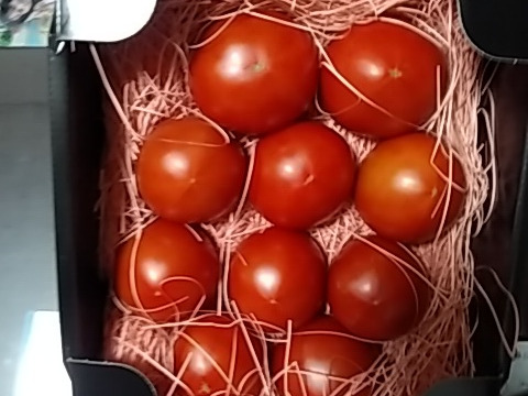 ～春夏秋冬～秋もトマトを楽しみましょう！ぜいたくトマト《秋の陣》