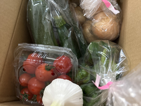 ミニ夏野菜セット☆ひとり暮らしサイズ　60サイズ　数量限定