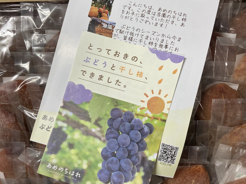 4L 約2.7kg ご家庭用お買得！特大完熟干柿(干し柿)[30個]