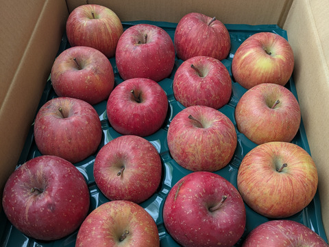 【大特価】訳あり/家庭用でも美味しい！葉取らずサンふじ(りんご4㎏～5㎏)