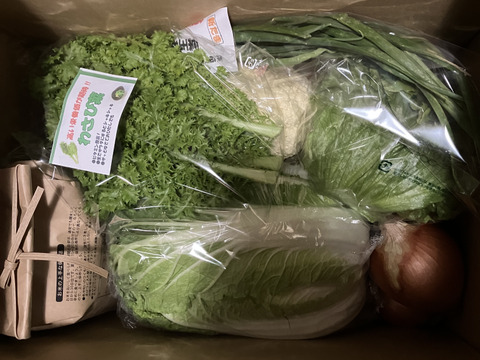 【福袋】玉ねぎ3kg🧅とキヌヒカリ玄米2kg   その他葉物野菜など5種類以上の野菜セット