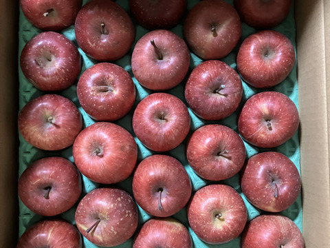 青森県産ミニサンふじ　5キロ