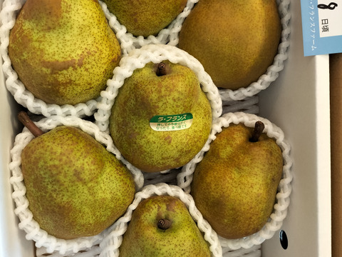 【２箱同梱】ラ・フランス🍐２ｋｇ ×２生ハム巻きオススメサイズの7玉入り