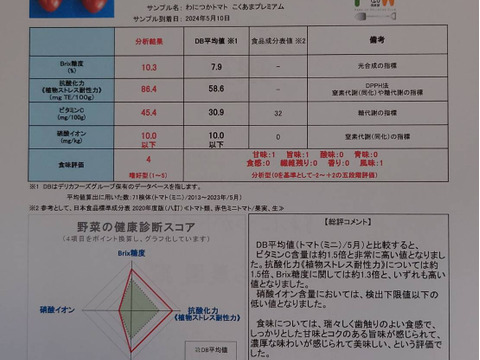 【投稿必須！モニター価格にて出品中】【本当にミニトマトなの？！】新品種『わにつかトマト こくあまプレミアム』【1.2kg】はじけるジューシーな味わい フルーツトマト