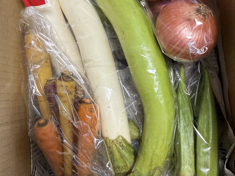 農薬未使用！旬の採れたて新鮮野菜おまかせ小セット（５～７品目）