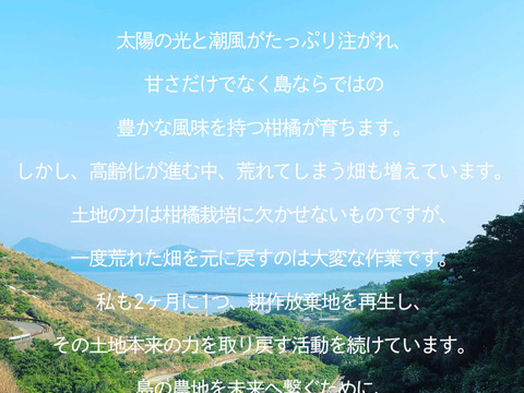 【愛媛県中島産】コクあるみかん！南柑20号　サイズ混合5キロ