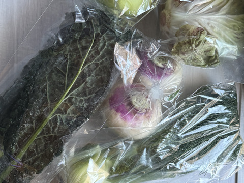 お料理の幅が広がる！ 季節の西洋野菜 Italian selection 60サイズ