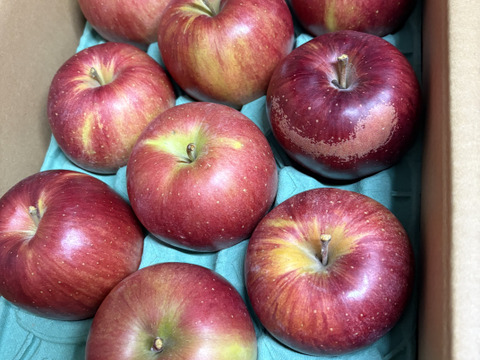 「シナノスイート」　値下げ！！訳ありご家庭専用　約3キロコース　（8から11玉）ご好評販売中