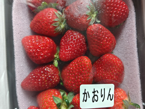 【あまりん・かおりん】食べ比べ２パック(500g)🍓