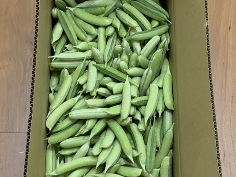 関西の春を告げる味わい　うすいえんどう 2kg