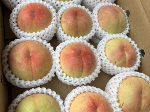 桃🍑　訳あり　3kg
