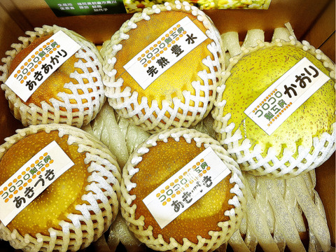 【旬の梨食べ比べ‼️3～5品種】何が届くかお楽しみ😋贈答用2.5kg以上、豊水・あきづき・かおり・あきあかり・二十世紀・南水・にっこり・新高・王秋・新興・愛宕の中から3品種以上詰め合わせます‼️
