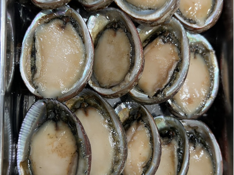 漁師直送！大分県産天然冷凍トコブシ１キロとこぶし ナガレコ ながれこ