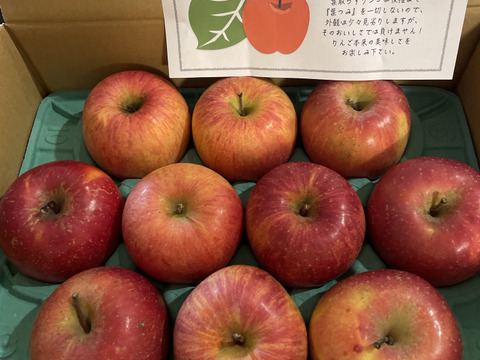 信州産葉とらずサンふじ家庭用3kg8〜11個入り 美味しさ重視のおすすめ品！