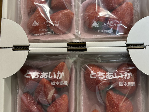 とちあいか大玉平パック　2箱4パック