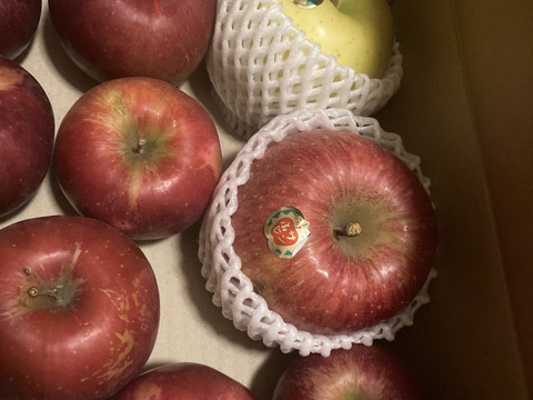 お待たせしました！🍎すっぱい紅玉🍎おうちりんご🍎酸味が美味しいりんご！！家庭用３キロ