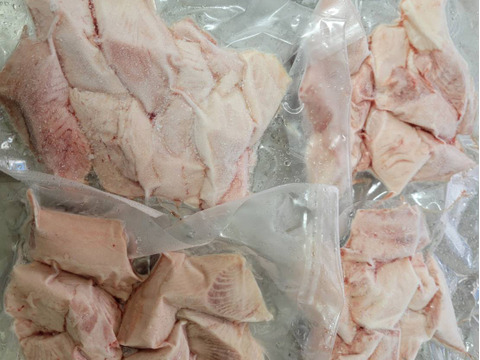 【冬ギフト】ヨコワ(ヨコ)クロマグロの子刺身柵、フライ用セット