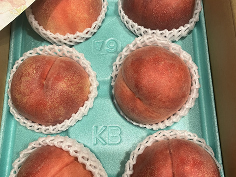 『夏ギフト』なつっこ🍑高糖度で硬めの桃✨朝採りその日に発送します