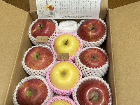 ご自宅で気軽に食べたい方へ「旬のりんごおまかせ便」3キロ【りんご食べ比べ】