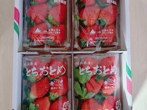 完熟とちあいかととちおとめの食べ比べセット
【いちご食べ比べ】