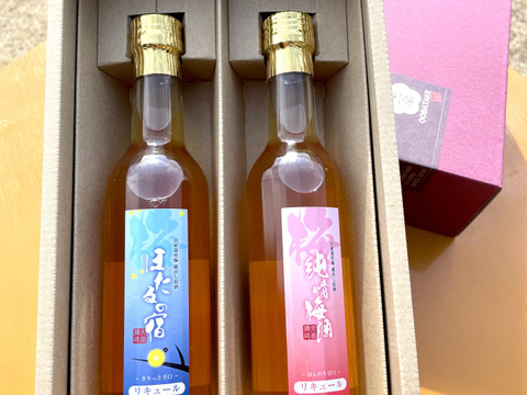 【母の日ギフト】甘辛梅酒　300ml ２本セット【ギフト】