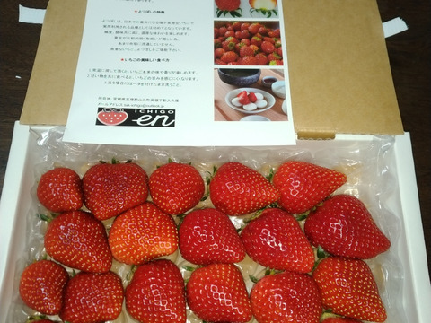 完熟よつぼし☆（ご家庭用・約530g）：宮城県産のよつぼし｜食べチョク
