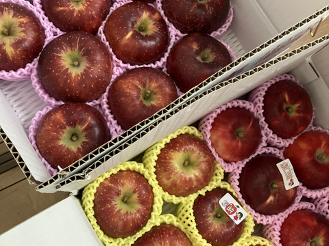 まるせい果樹園のりんご　おまかせ　　3kg自家用　贈答用　(6～15玉入り)　玉数指定不可　or1