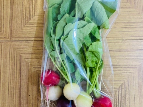カラフルラディッシュ1kg(6～7袋、1袋当たり4個以上)　テーブルを華やかに！　　京都府産