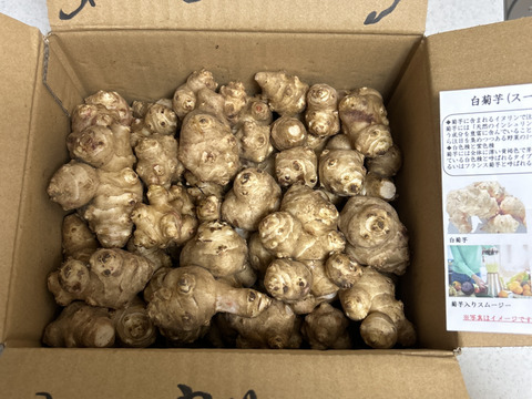 〈売り切れ御免なさい／スーパーフード／自然栽培〉 淡路島産 シャキっとホクっとパリっと 皮ごと安心♪菊芋３kg【2022年度SDGｓエバンジェリスト認定取得】