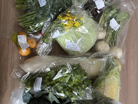 【淡路島より旬をお届け】お任せ野菜セットLサイズ