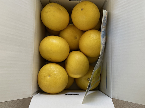 【日本ギフト大賞受賞】園主こだわり土佐文旦  家庭用 小玉 5kg  土佐文旦 ぶんたん ブンタン 高知  みかん 国産みかん 果物 柑橘