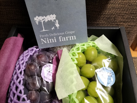 【Nini farm厳選品】 9月出荷 高品質 ニューピオーネ&シャインマスカット(約1.0kg)