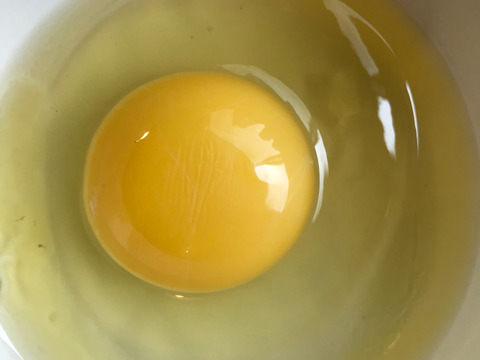 限定販売✨菊池の平飼い有精卵🥚
あっさり美味しい！！（２０個入り）✨