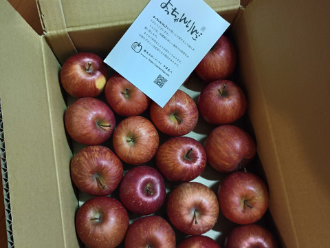 【極小玉・バラ詰め】サンふじ🍎家庭用約2.7Kg🍎毎日りんご　コスパ抜群　青森県産　数量限定