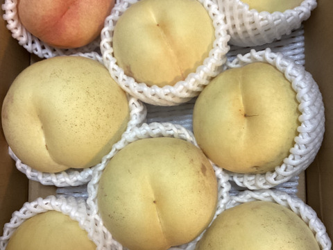 甘露な桃　桃水(白桃)　2kg　ご家庭用　山形県産　6〜13玉入