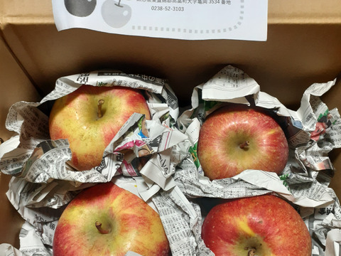 大玉！！葉取らずふじりんご🍎バラ詰め5キロ家庭用です。