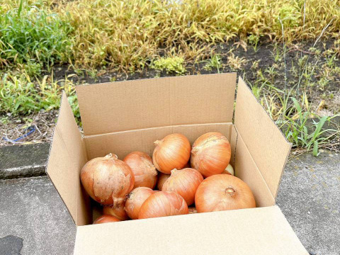 味濃厚　玉ねぎ5kg　
元イタリアンシェフが作る玉葱
栽培期間中　農薬、化学肥料不使用