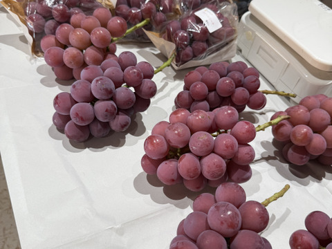 【朝どれ】【採れたて新鮮！！】クイーンニーナ2房