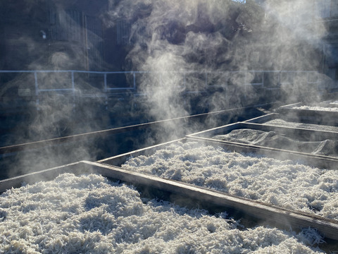 綱元漁師のファミリーパック定期便 ３人前程詰め合わせ