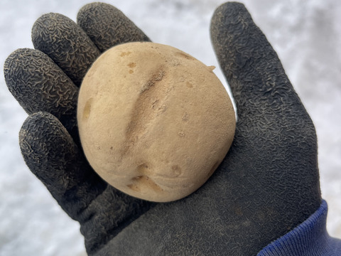 北海道産　じゃがいも(キタカムイ) 10kg B品　サイズ混合