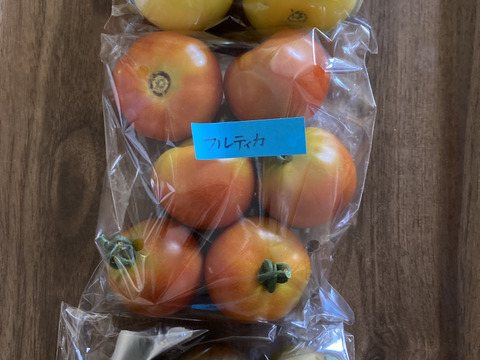 トマト各種詰め合わせ　約1500g