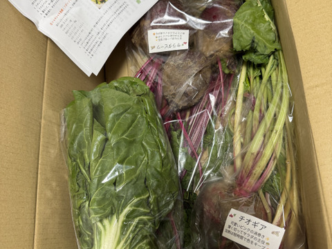 🌱畑直送！「食べる輸血」採れたて葉付きビーツ2種食べ比べセット約2kg🌱｜【朝どれ】収穫そのままお届け！畑の鮮度そのまま✨｜農薬・化成肥料不使用｜✨