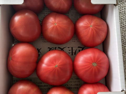 赤丸山口トマト　小箱