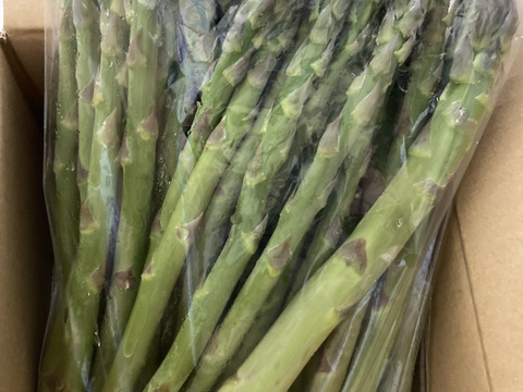 【朝採】アスパラガス B品 サイズ混合 １kg 【収穫当日発送】