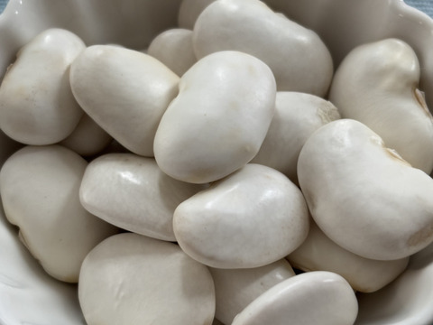 北海道産　白花豆250g&紫花豆250g