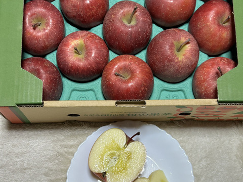 さんフジ 山形 朝日町産 小玉 りんご 約3kg   1級品 贈答用 家庭用 リンゴ