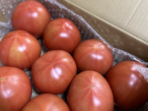 昔ながらのトマト🍅80サイズ箱詰め(Ｌ玉)