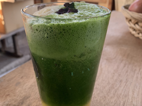 瀬戸内育ち 赤軸ケール（レッドロシアンケール）1kg｜サラダ・スムージー用