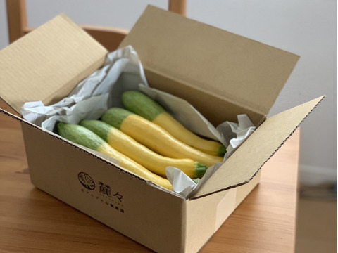 【グリーンパンツ】緑と黄色のツートンカラーが可愛いズッキーニ（10本入り）