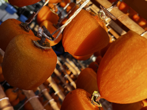 お得パック！甲州百匁柿『枯露柿』（ご家庭用・徳用　約５００ｇ）